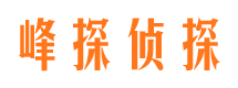 鄂尔多斯市调查公司